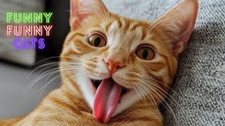 Cat Funny Videos 😹😂 2 Hour Compilation Of Fun Cat Videos That Will Make You Laugh And Find Peace 😺😂 [upl. by Ainoz275]