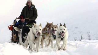 Dog Sledding in Norway [upl. by Andrews]