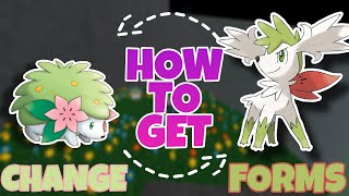 How to get Shaymin and change its form in Pokemon Brick Bronze [upl. by Acimehs20]