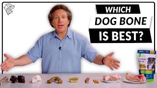 Vets Guide To Dog Bones amp Dental Chews—Find the Best Option for Your Dog [upl. by Portwin]