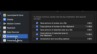 Cant take screenshots on Mac Here are 7 quick fixes [upl. by Garald373]