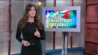 Bárbara Bermudo 20120814 Primer Impacto HD [upl. by Sibella]