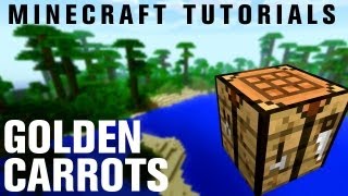 How to Make Golden Carrot in Minecraft Find Carrots [upl. by Niobe]