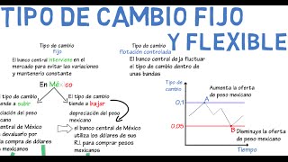 Tipo de cambio fijo y flexible  Cap 16  Macroeconomía [upl. by Ott]