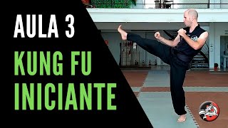 Kung Fu para Iniciantes  Aula 3  Treino de Kung Fu em Casa [upl. by Cullin]