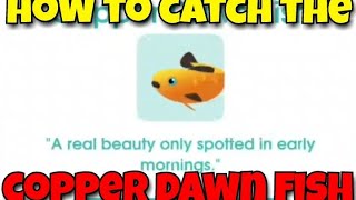 How to Catch the Copper Dawn Fish  Hooked Inc [upl. by Armanda]