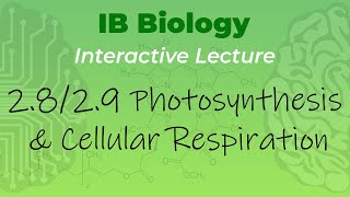 IB Biology 28 amp 29  Photosynthesis amp Cellular Respiration  Interactive Lecture [upl. by Znieh]