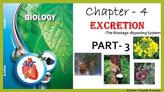 Excretion  The wastage disposing system 10th Biology Part3 [upl. by Dercy624]