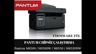 Pantum M6500 M6500W M6550 M6550NW Yazıcı Reset  Firmware Fix [upl. by Ayiak84]