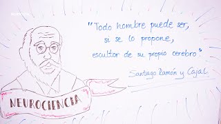 Santiago Ramón y Cajal y la neurociencia  Grandes historias de la ciencia  CIENampCIA 4x09 [upl. by Gitt]