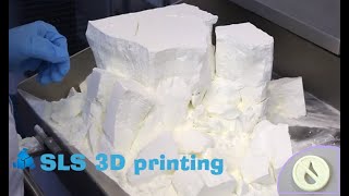 SLS 3D printing technology [upl. by Kehsihba]