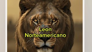 Criptozoología León Norteamericano [upl. by Blim]