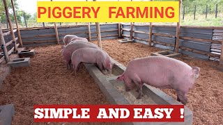 Modern Pig farming made easy for beginners [upl. by Iblok]