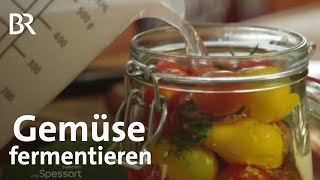 Gemüse fermentieren Haltbar machen durch milchsaure Gärung  Zwischen Spessart und Karwendel  BR [upl. by Yerxa]