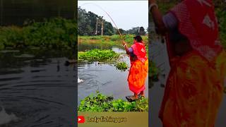 Fishing Video  Village lady know how to catch fish using all kinds of techniques  Hook fishing [upl. by Orel]