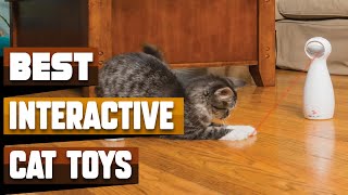 Best Interactive Cat Toy In 2024  Top 10 Interactive Cat Toys Review [upl. by Sudaorb397]