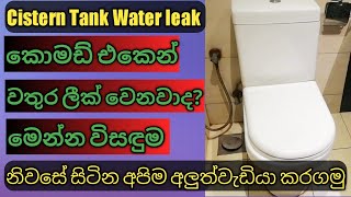 How To Fix a Leaking Toilet Tank at Home  Water leaking into the WC pan [upl. by Helbon]