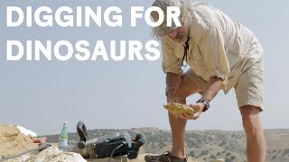 Paleontologists dig for Jurassic dinosaur fossils [upl. by Ike]