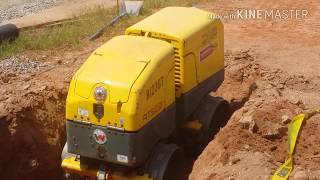 HOW TO OPERATE A SOIL COMPACTOR WACKER NEUSON TRENCH COMPACTOR [upl. by Katey]