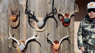 THE FAST EASY AND CHEAP WAY TO MOUNT ANTLERS [upl. by Grady]