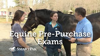 Equine PrePurchase Exams [upl. by Naols]