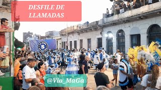 Desfile de Llamadas Carnaval 2024 Montevideo🇺🇾🇺🇾🇺🇾 [upl. by Akehs]