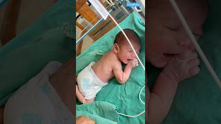 Newborn babies video medical viralvideo [upl. by Beaver441]