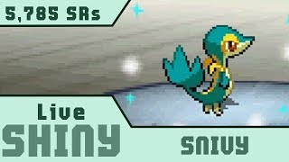 DTQ 1 Live Shiny Snivy After 5785 SRs • Pokemon White 2 [upl. by Acsicnarf108]