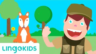 A Hunting We Will Go  Nursery Rhymes  Lingokids [upl. by Novick331]