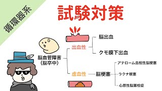 脳血管障害（脳卒中）の分類【試験対策】 [upl. by Ellingston715]