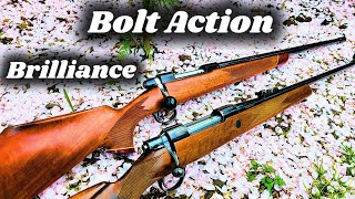 Two of the BEST Bolt Actions EVER MADE [upl. by Adnwahsat999]