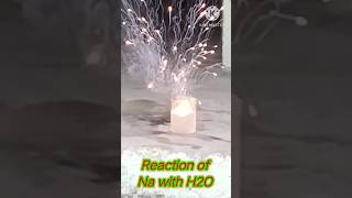 Sodium explosion 💥 Class VIII experiments on Metals and Non metals [upl. by Enilhtak]