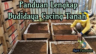 Panduan lengkap Budidaya cacing tanah [upl. by Artiek109]