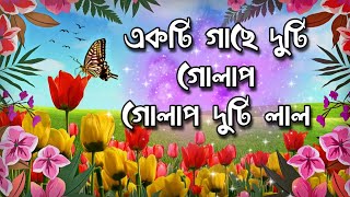 একটি গাছে দুটি গোলাপ 🌹bangla shayari  love kobita  romantic shayari [upl. by Aicilic]