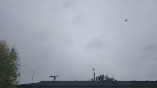 Nimbostratus clouds timelapse 12024 [upl. by Aninay]