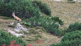 Hirschjagd in den Tauern  Rotwildbrunft am Großglockner  jagenNRW [upl. by Naasar201]