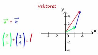 Veprime me Vektorët [upl. by Azil377]