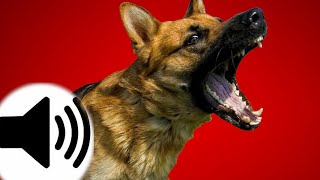 Dogs Barking Sound Effect [upl. by Kirschner]