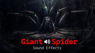 Giant Spider Sound effects [upl. by Thordis93]