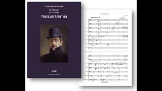 Nessun Dorma  Orchestra [upl. by Myron]