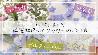 【綺麗なドライフラワーの作り方】今の時期春にオススメ🌼レジン封入用人気のお花｜シリカゲルとハンギング法の違い [upl. by Leeland]