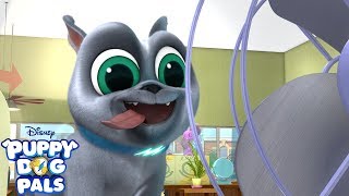 Coolin Out  Music Video  Puppy Dog Pals  Disney Junior [upl. by Oakleil744]