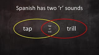 Spanish tapped ɾ vs trilled r [upl. by Akihsat]