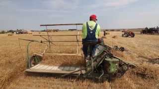 Threshing Bee brings families together [upl. by Ahsinak]