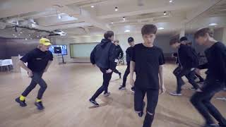 mirrored NCT 127  SIMON SAYS Dance Practice [upl. by Nannek]