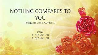 Nothing compares to you  Chris Cornell prince cover Easy chords and Lyrics [upl. by Suivatram661]