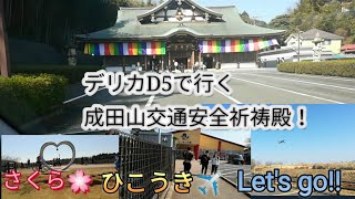 デリカD5で行く成田山交通安全祈祷殿！ひこうきの丘とさくらの山 [upl. by Roselba]