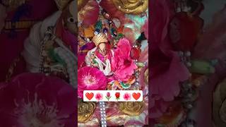 Saanwre shyam 🪷💖 krishna vrindavan krishnabhajan radheradhe youtubeshorts shortsvideo shorts [upl. by Marr]