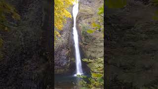 Horsetail FallsOregon oregon waterfall autumn fall hike pnw scenicdrive [upl. by Verada]