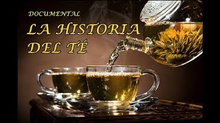 Documental LA HISTORIA DEL TÉ  Bebida milenaria [upl. by Cordier]